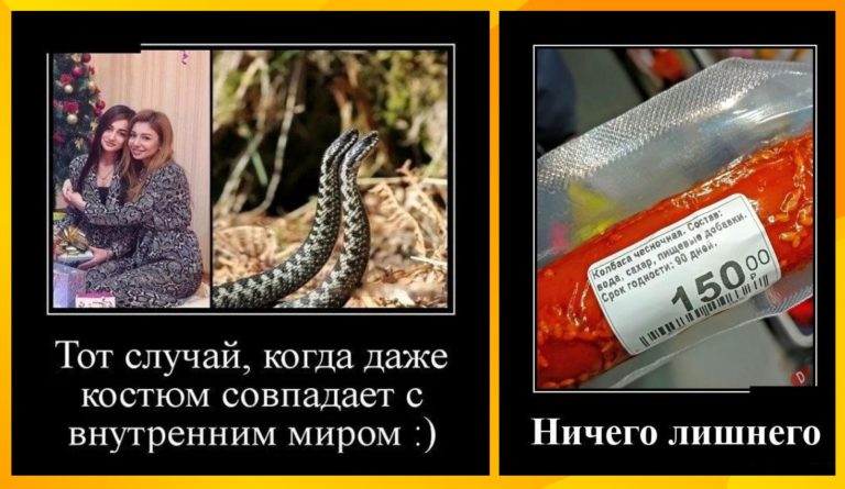 Новые демотиваторы и змеиный внутренний мир