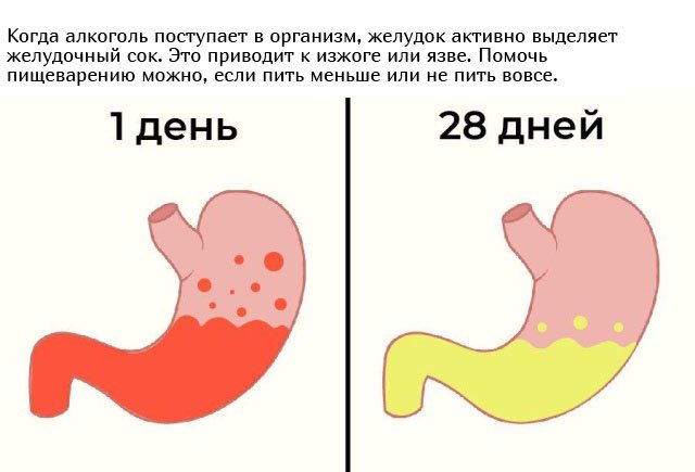 Непонятно зачем, но всё же: что будет, если отказаться от спиртного
