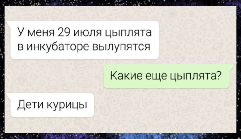 Ржачные смс-переписки на вечерок и дети курицы