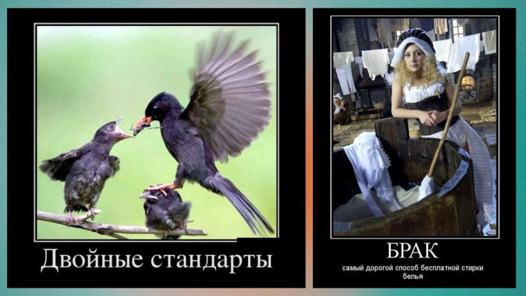 Новые демотиваторы и двойные стандарты