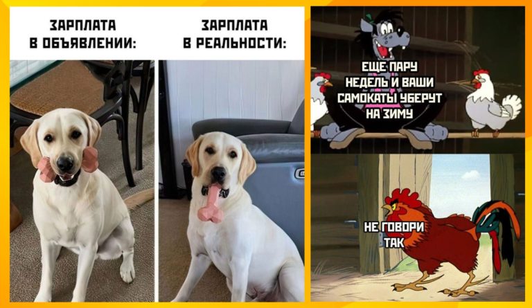 Интернет мемы, картинки с надписями и зимовка самокатов