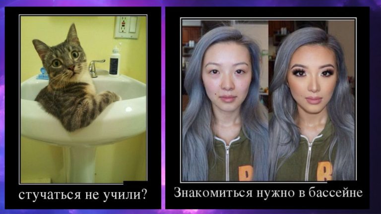Новые демотиваторы и знакомство в бассейне