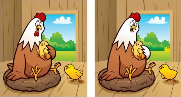 Куриный вызов: сможете ли вы найти 5 отличий всего за 11 секунд? Этого достигают немногие
