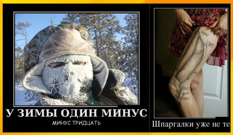 Новые демотиваторы и минусы зимы