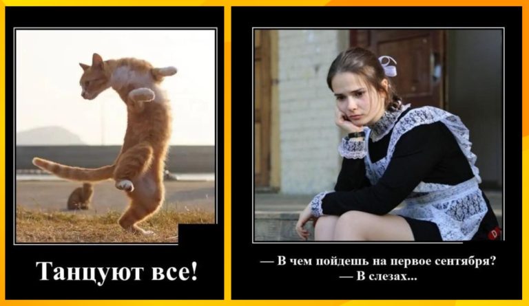 Новые демотиваторы и танцуют все