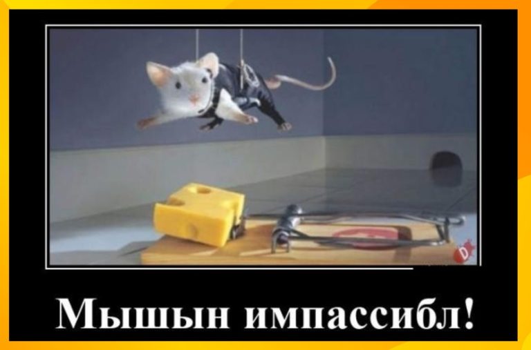 Новые демотиваторы и Mission impossible