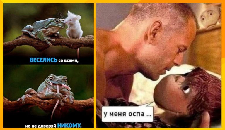 Юмор за день и недоверие к жабам