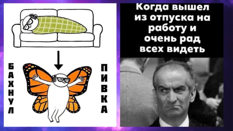 Прикольные картинки с надписями и из гусеницы в бабочку