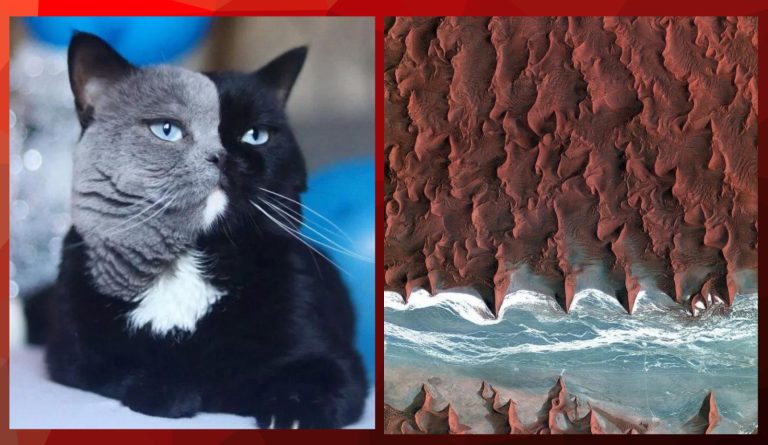 15 фото взглянув на которые вы воскликните «Да это же фотошоп»