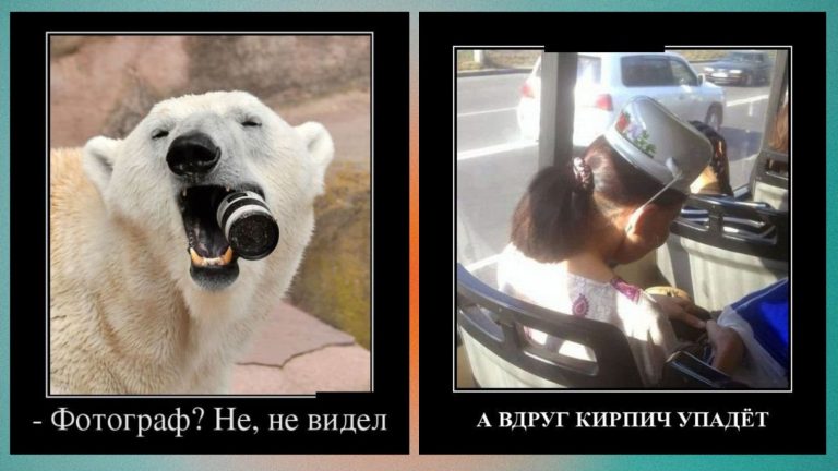 Новые демотиваторы и невидимый фотограф