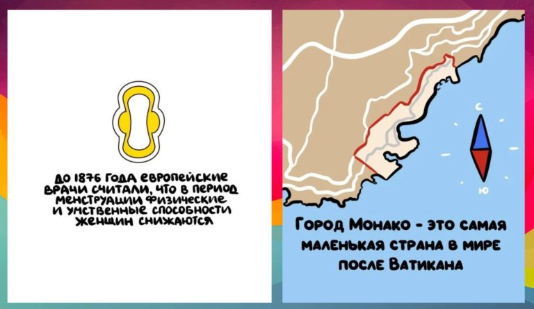 Хотите рандомный факт про пингвинов? Здесь умные факты для всех
