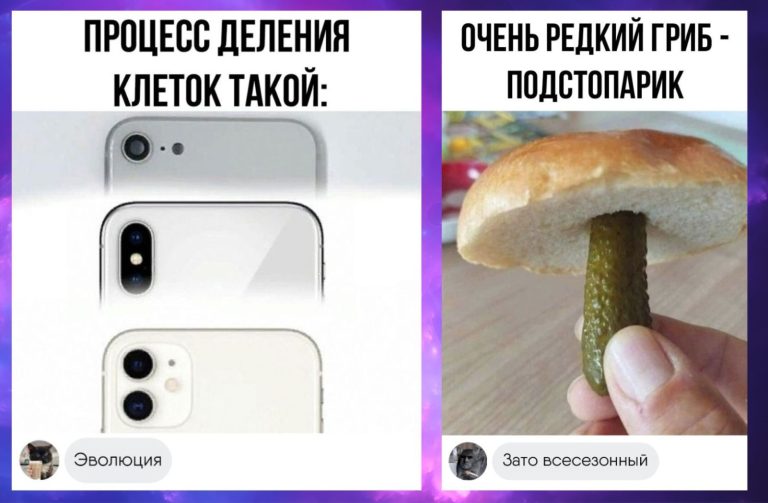Забавные комментарии, которые как острый соус приправляют сам пост