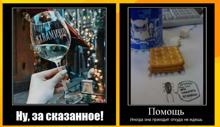 Новенькие демотиваторы и вхламинго