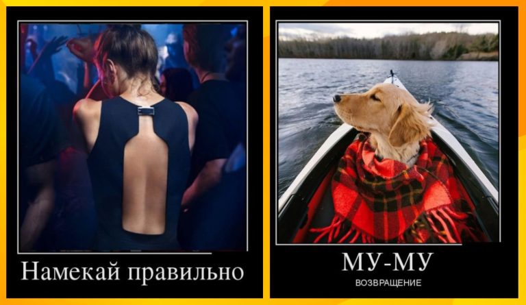Новые демотиваторы и эпохальное возвращение Му-му