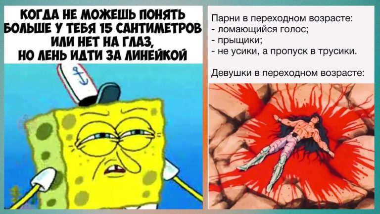 Пост юмора на пошлые темы и лень идти за ленейкой
