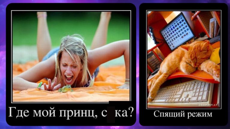 Новые демотиваторы и поиски принца