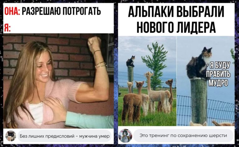 Забавные комментарии, которые как острый соус приправляют сам пост