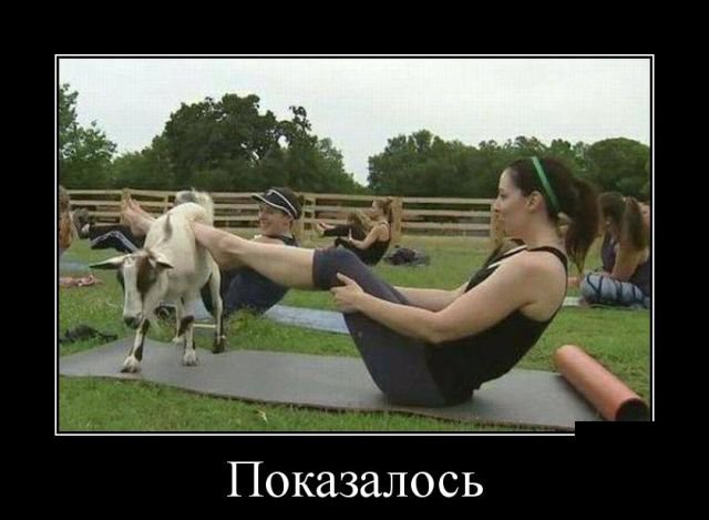 Новые демотиваторы и дырявая коза