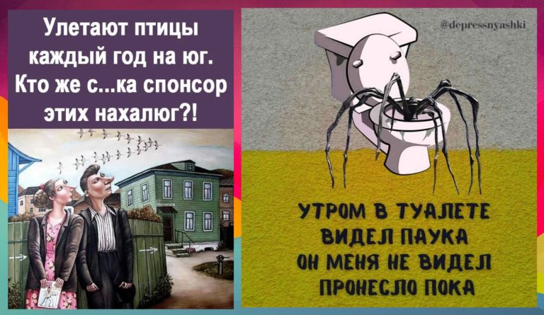Картинки со стишками — депресняшками и паук в ванной