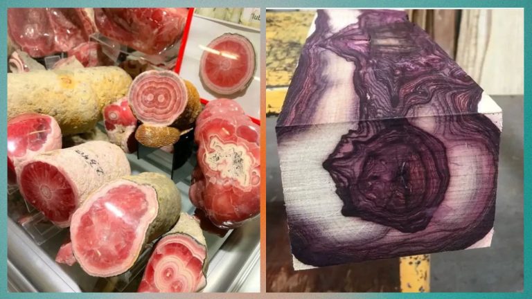 На вид — пирожное, на вкус — опилки: обзор съедобных обманок