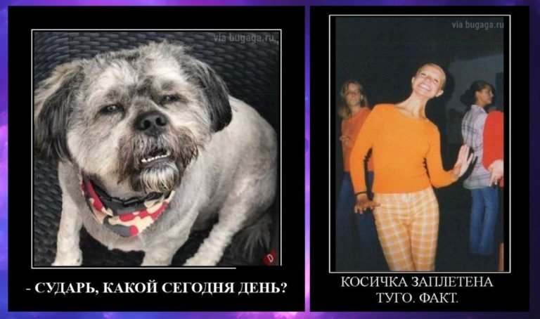 Новые демотиваторы и какой сегодня день