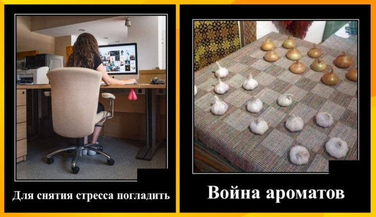 Субботние демотиваторы и война ароматов