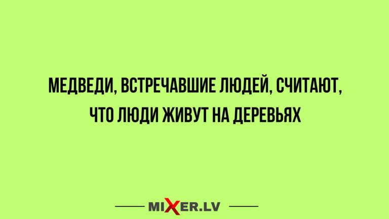 Юмор за день и медведи