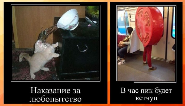 Новые демотиваторы и кетчуп