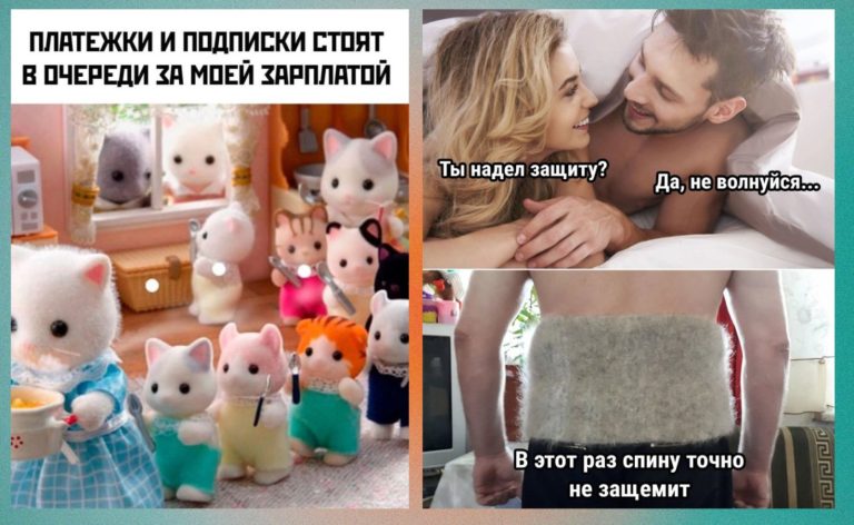 Прикольные картинки с надписями и пояс из собачей шерсти