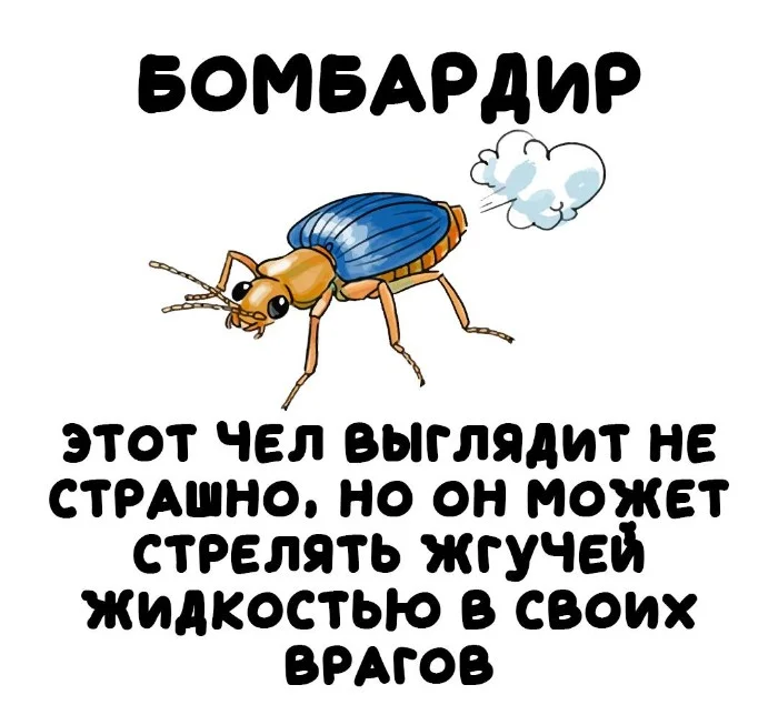 Занимательная биология простыми словами и лягушка поросенок