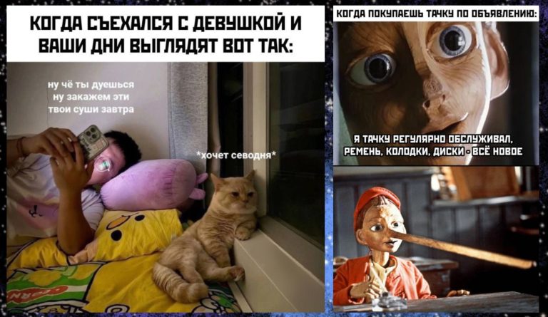 Прикольные картинки с надписями и регулярное обследование тачки