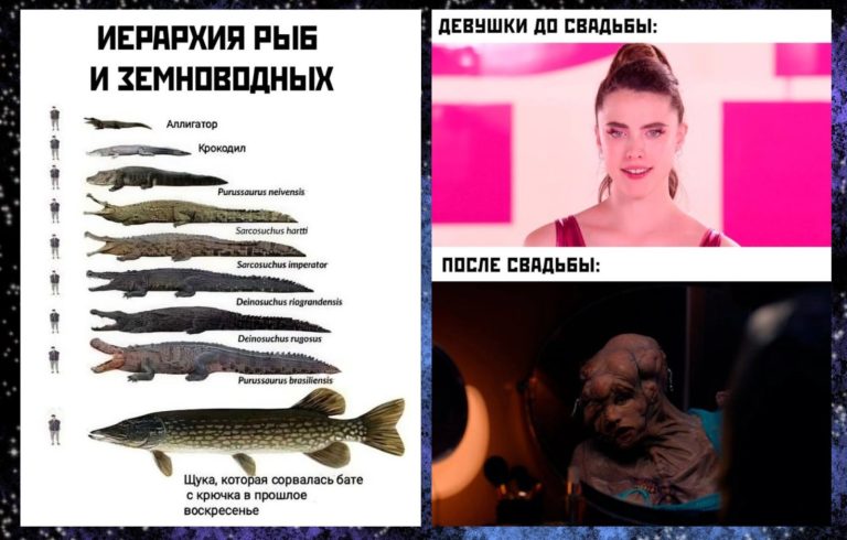 Прикольные картинки с надписями и девушки после свадьбы