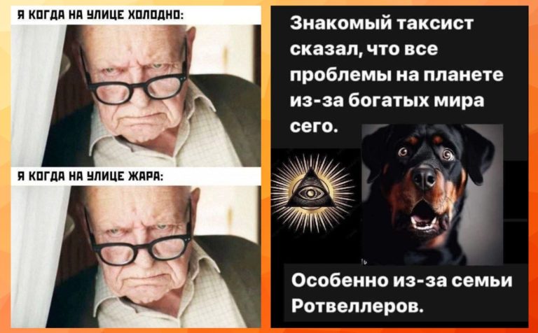 Прикольные картинки с надписями и семья Ротвейлеров