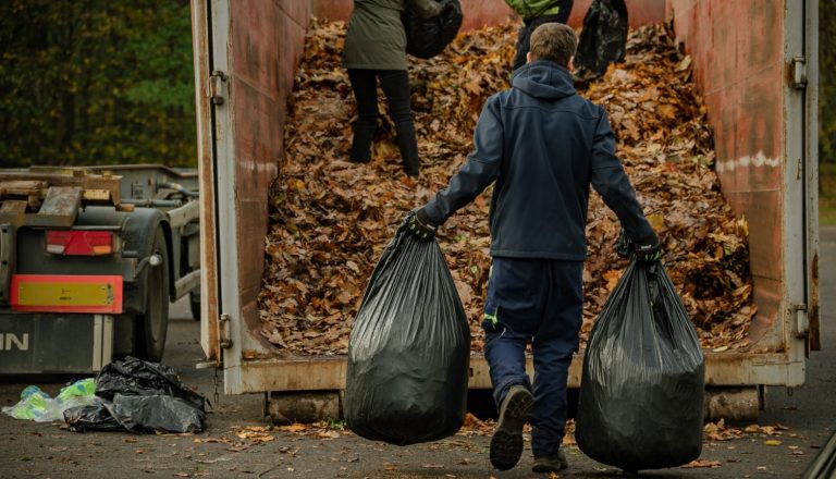 В мешках выбрасывать нельзя! Рижская Дума открывает бесплатные пункты сдачи листьев