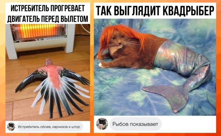 Забавные комментарии, которые как острый соус приправляют сам пост