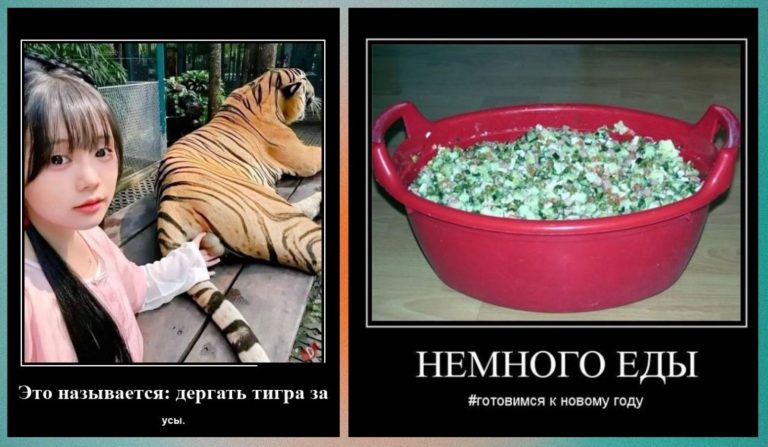 Новые демотиваторы и немного еды