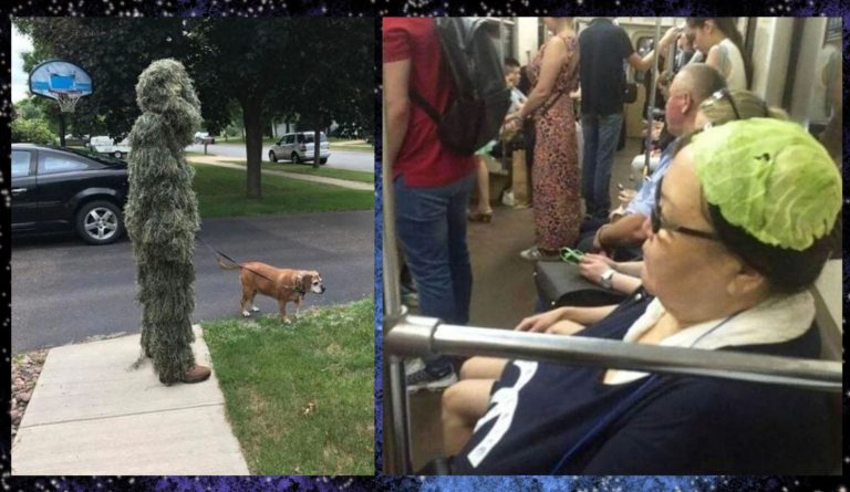 15 снимков, доказывающих, что абсурд поджидает за углом, и дичи хватит на всех