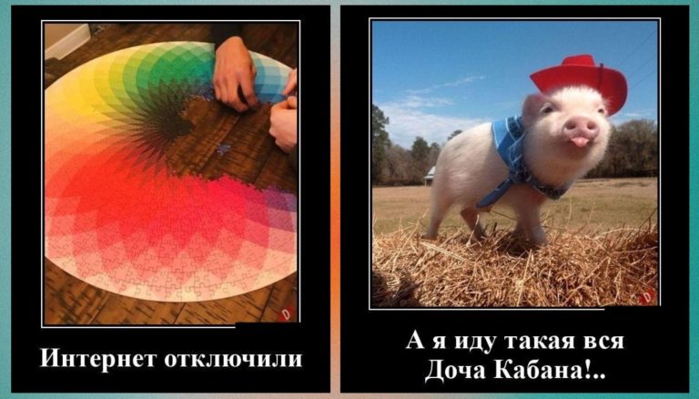 Новые демотиваторы и отключение интернета