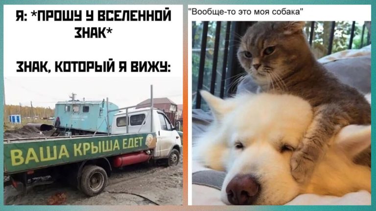Прикольные картинки с надписями и знак от вселенной