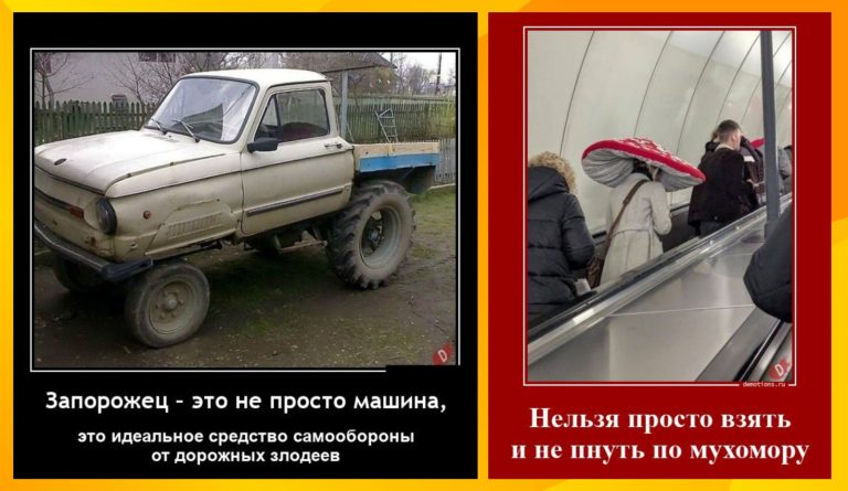 Новые демотиваторы и мухаморы