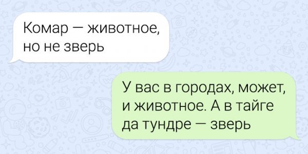 13 смешных смс — переписок и комары — звери