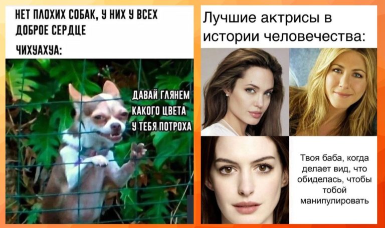 Прикольные картинки с надписями и доброе сердце чихуахуа