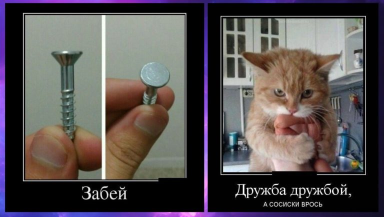 Новые демотиваторы и дружба врозь
