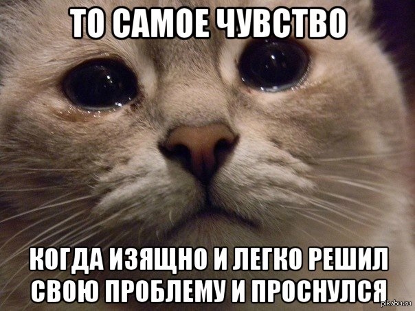 Пять знаков Зодиака, которые успеют решить все проблемы до Нового года