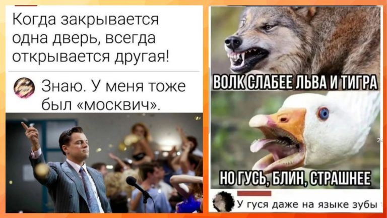 Забавные комментарии, которые как острый соус приправляют сам пост