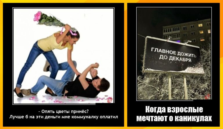 Новые демотиваторы и мечта о конце декабря