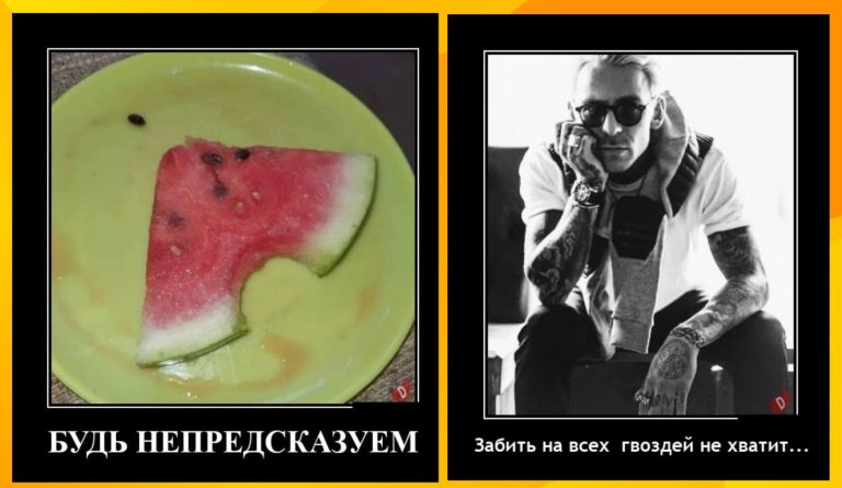 Новые демотиваторы и быть непредсказуемым