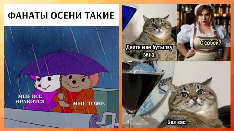 Прикольные картинки с надписями и фанаты осени