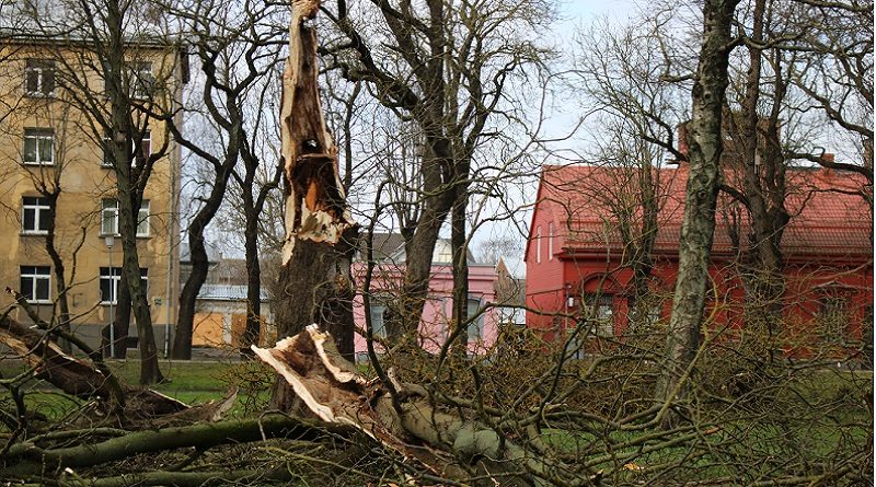 Буря в Латвии: Спасатели 35 раз ликвидировали последствия сильного ветра