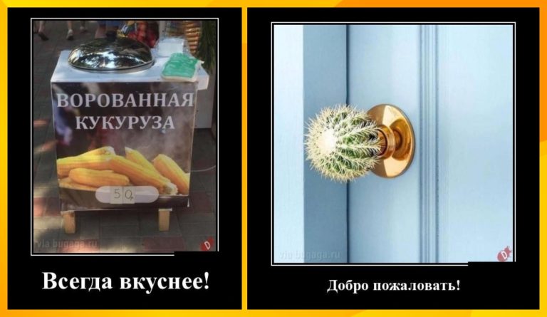 Свежие демотиваторы и ворованная кукуруза